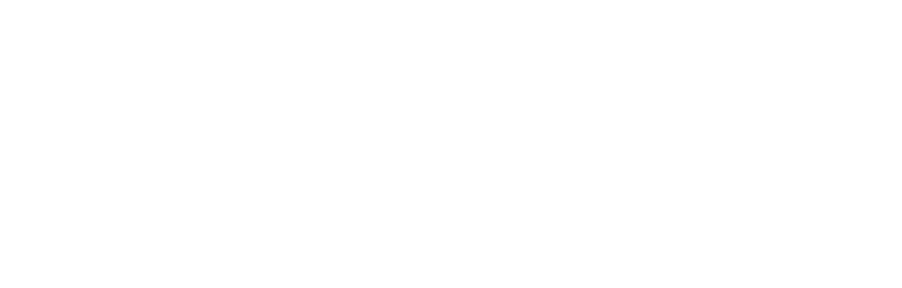 iniWings